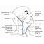 Easy Notes On 【Superficial Lymph Nodes And Vessels� – Earths Lab