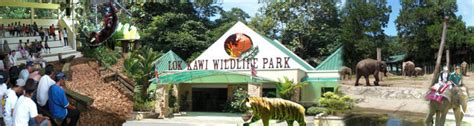 Check spelling or type a new query. Half-Day Lok Kawi Wildlife Park Tour, Sabah, Malaysia Borneo