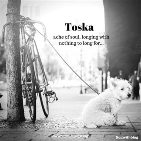 Beautiful words in other languages. 20 Beautiful Untranslatable Words That Your Dog Knows!