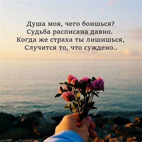 Pin By Tessmi On цитаты Motivational Quotes Motivation Funny Words