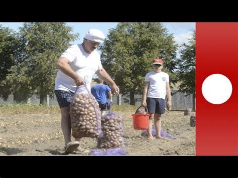 Präsident alexander lukaschenko entließ unter anderem ministerpräsident andrej kobjakow. 70 Säcke Kartoffeln für Weißrussland: Präsident ...