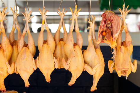 Chinese Poultry Processors Will Be Allowed To Export Meat To The Us
