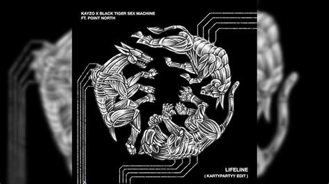 Kayzo X Black Tiger Sex Machine Ft Point North Lifeline Kartypartyy Edit Youtube