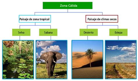 Tipos De Climas Y Regiones Naturales Gufa