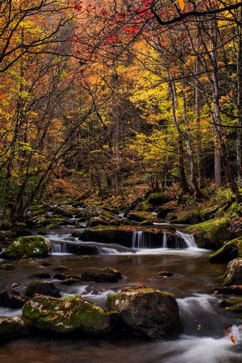 Great Smoky Mountains Autumn 2022 Jack Graham Photography