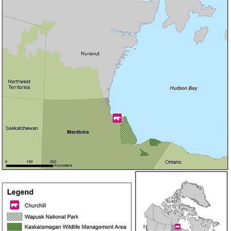 Map Of Churchill Manitoba Credit Melissa Weber Download
