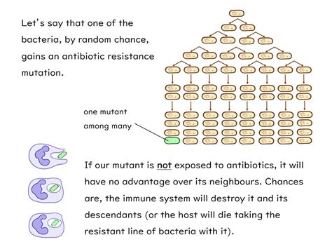 Antibiotic Resistance Gcse Biology Aqa Teaching Resources