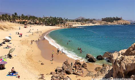 7 Swimmable Beaches In Los Cabos Journey Mexico