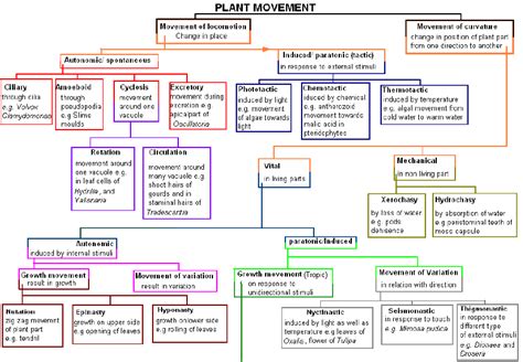 Neet Biology Plant Growth And Movement Chapter Notes