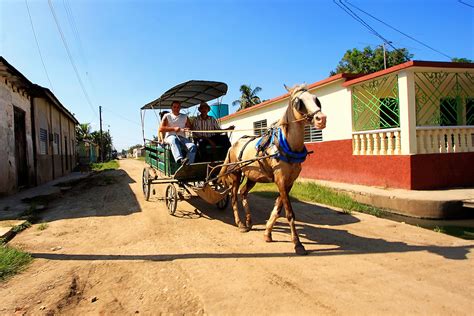 Coche De Caballos In Cruces Cienfuegos Province Cuba
