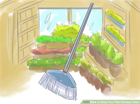 3 Ways To Keep Your Plant Nursery Clean Wikihow