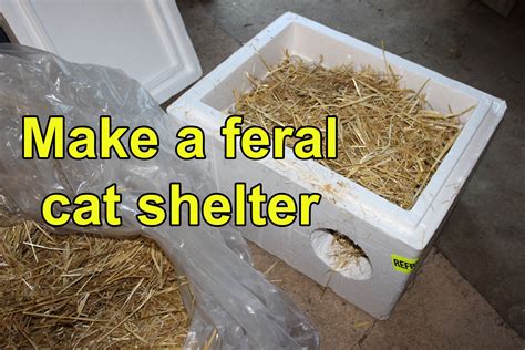 Make A Feral Cat Shelter From A Styrofoam Cooler Filled With Straw TNR Feral Cat Shelter