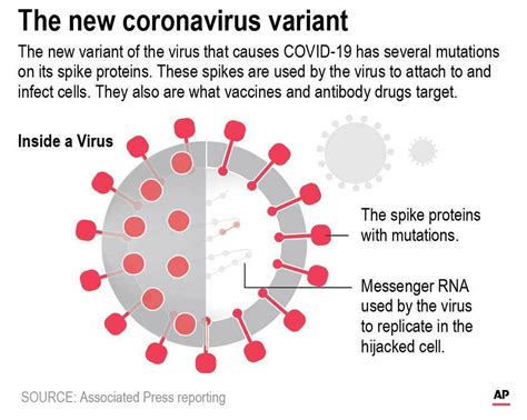 Coronavirus Variant What Mask Is Best To Protect Yourself From Covid