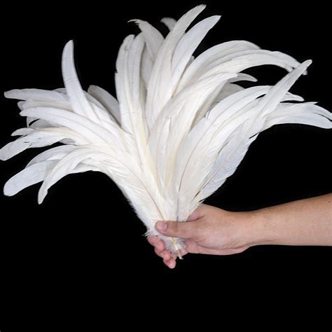 100 Pcslot Natural Cock Rooster Tail Feathers For Festival Stage Performance Decoration Plume