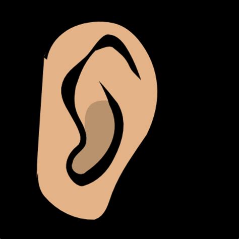 Ear Clipart Images Free Download On Clipartmag