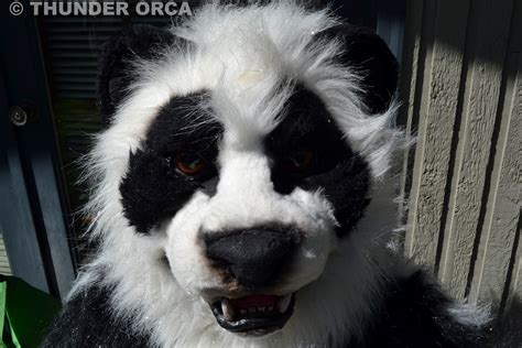 My Panda Fursuit Part 8 — Weasyl