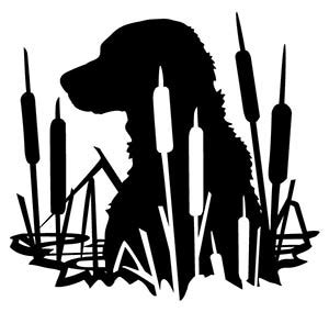 We did not find results for: Free DXF Files [ 100's of Free DXF's + What they are and ...