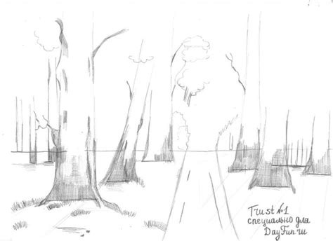 How To Draw Forest 47 Photos Drawings For Sketching And Not Only