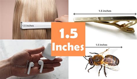 6 Things That Are About 15 Inches In Long