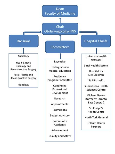 Organizational charts or org charts are the diagrams that show the structures of employment of organizations. Organizational Structure | Department of Otolaryngology
