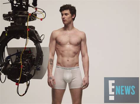 Work It From Shawn Mendes Calvin Klein Underwear Ad Campaign E News