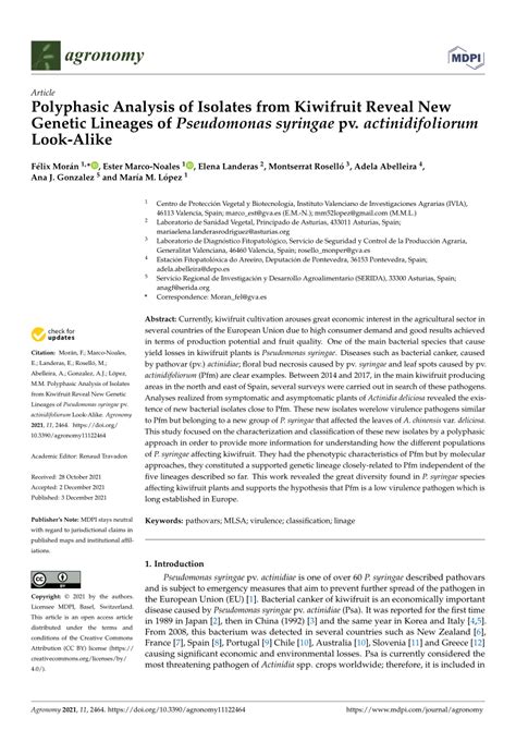 PDF Polyphasic Analysis Of Isolates From Kiwifruit Reveal New Genetic Lineages Of Pseudomonas