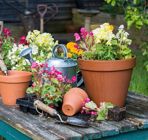 The Basics Of Self Watering Containers