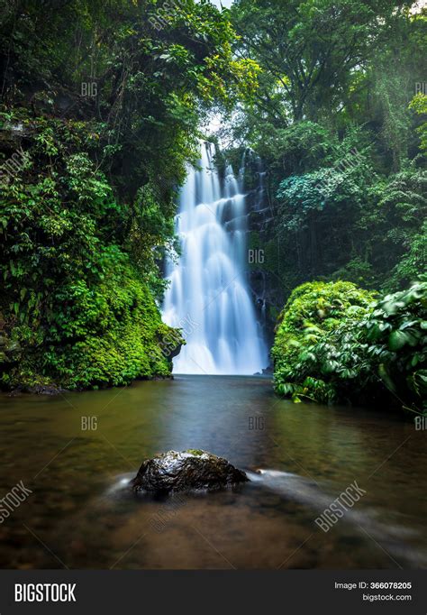 Tropical Rainforest Waterfalls With Flowers