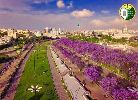 Baik wisatawan lokal maupun mancanegara, semuanya terkesima oleh pemandangan alamnya yang menakjubkan. Pemandangan Indah Ini Bukan Di Eropah Tapi Arab Saudi ...