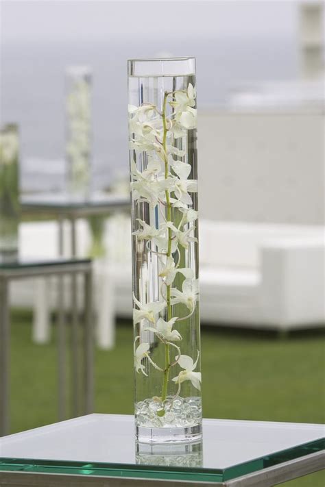 Orchid Plant Submerged In Water In Tall Glass Vase Glass Vases Centerpieces Wedding Vase