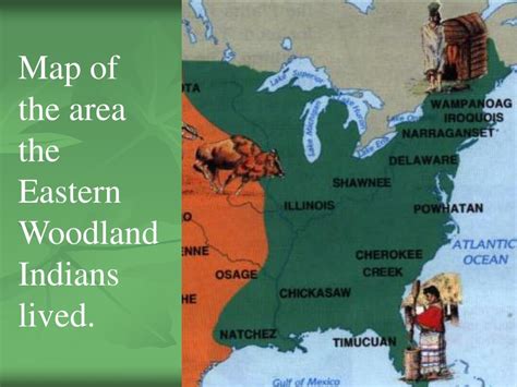 Ppt Eastern Woodland Indians Tribes Powerpoint Presentation Free