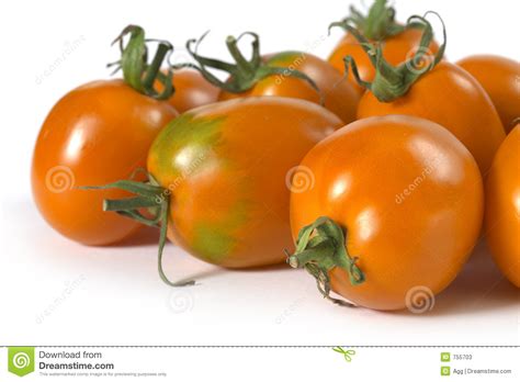 Orange Tomato Stock Image Image Of Tasty Tomato Plant 755703