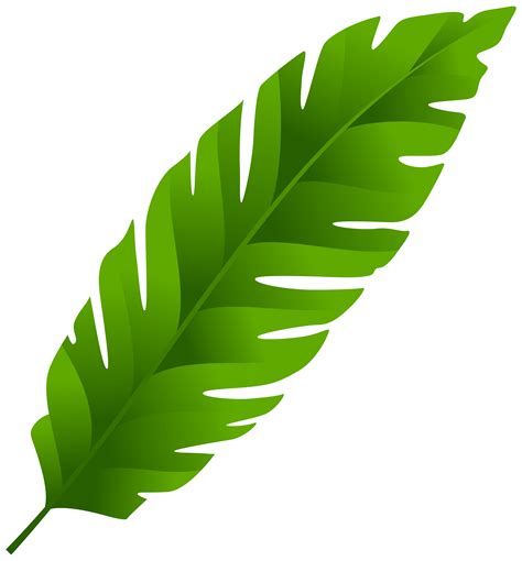 Free Leaf Clipart Transparent Download Free Leaf Clipart Transparent