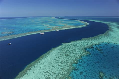 Hardy Reef Great Barrier Reef Hamilton Island Image Library