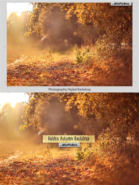 Golden Autumn Backdrop Digital Backdrops Backdrops Colorful Backgrounds
