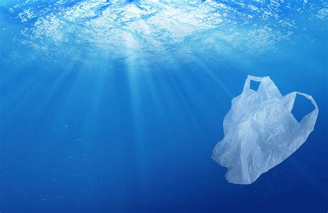Trece Millones De Toneladas De Desechos Plásticos Llegan A Los Océanos