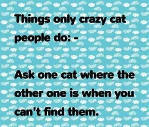 Pin By Lilacraindrops On Elegant Felines Crazy Cats Crazy Cat People