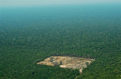 Amazonas In Brasilien Die Lunge Der Welt Ist Durch Die Wahlen In Gefahr Politik Stuttgarter