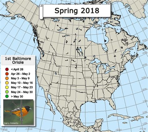 Baltimore Orioles Migration Map Zip Code Map