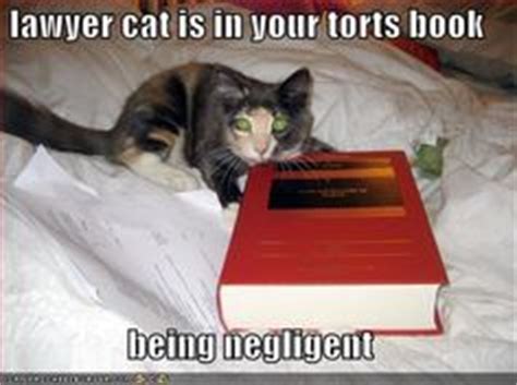 The cat lawyer's past comes back to haunt him, does the. Lawyer Cat on Pinterest | Law Students, Cat Love and Bar