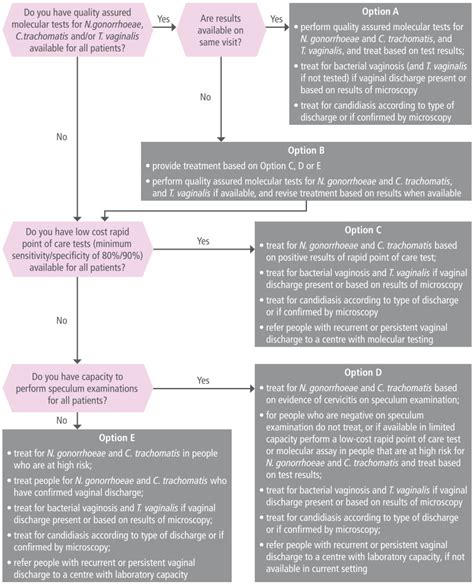 Fig 4 Flow Chart For Programme Managers To Determine Which Management