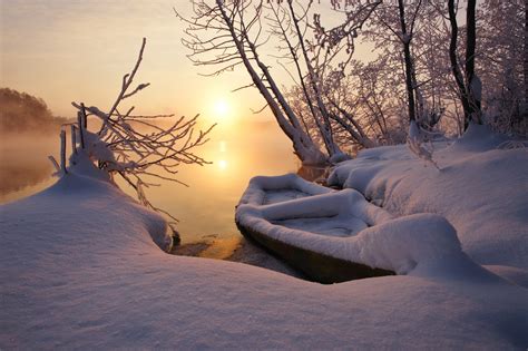 Wallpaper Sunlight Trees Landscape Boat Sunset Lake Nature