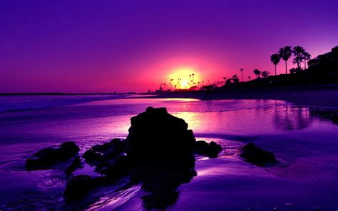 Free Purple Sunset Wallpaper 1920x1200 21455