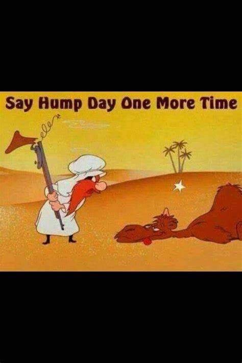 Hump Day Camel Yosemite Sam Cartoon Jokes Cartoons Funny Animals
