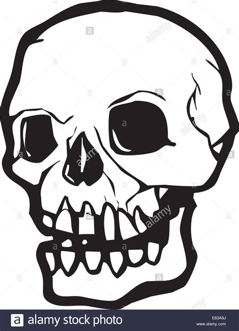 Human Skull Line Drawing At Getdrawings Free Download