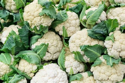 How To Grow And Care For Cauliflower