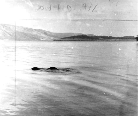 Loch Ness Monster Proof Pictures We Look Back At Famous Photographs Of