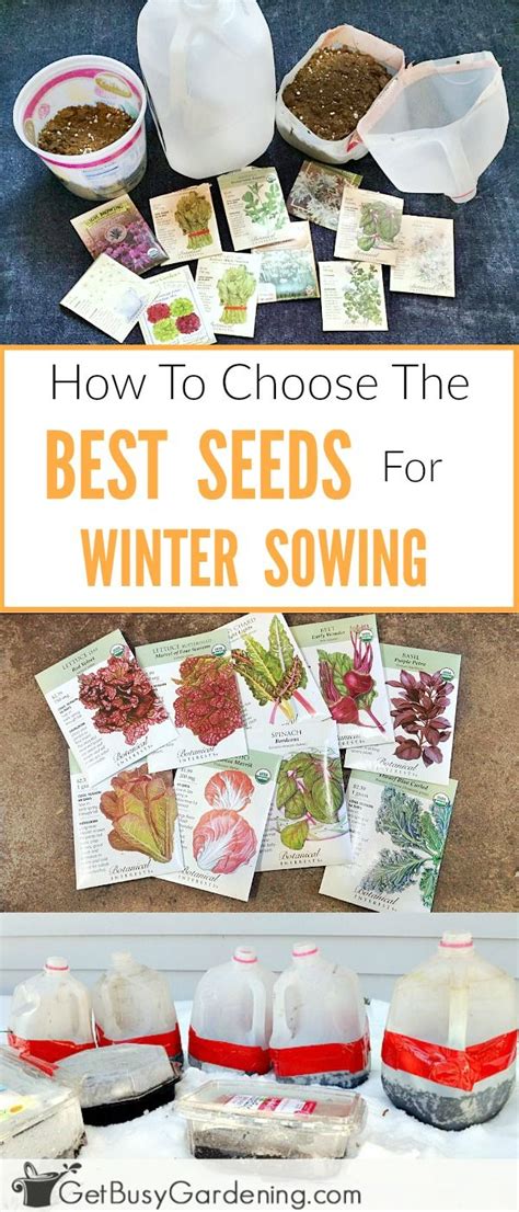 How To Choose The Best Seeds For Winter Sowing Winter Vegetables