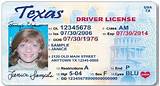 Images of Texas Drivers License Test Online Free
