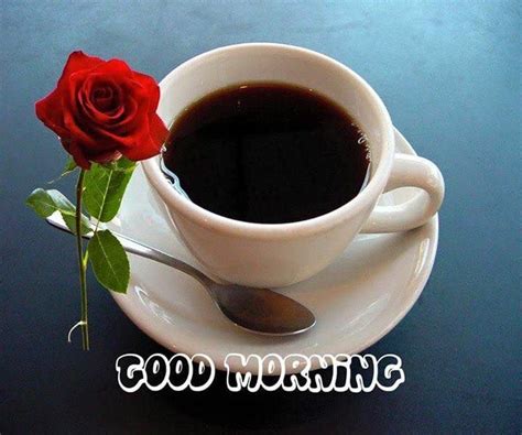 ► good morning coffee + tea cup images / morning coffee tea whatsapp status pictures. Pin by Margarita Ferrell on good morning coffee love ...